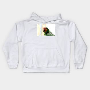 Parrot Kids Hoodie